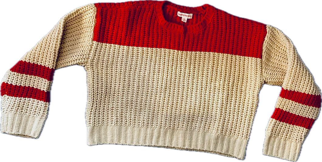 Poinsettia Combo Stripe Sweater
